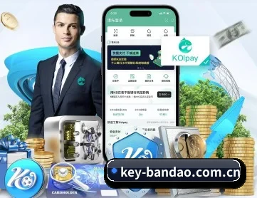 半岛体育 APP 深度功能
