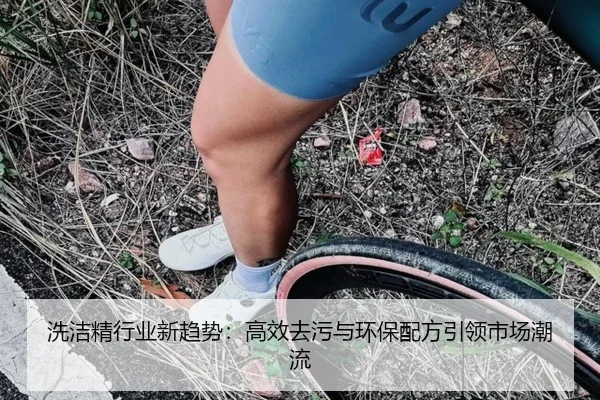 洗洁精行业新趋势：高效去污与环保配方引领市场潮流
