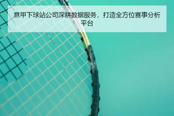 意甲下球站公司深耕数据服务，打造全方位赛事分析平台